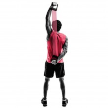 EXTENSOR ELSTICO MULTITENSO - KESTAL